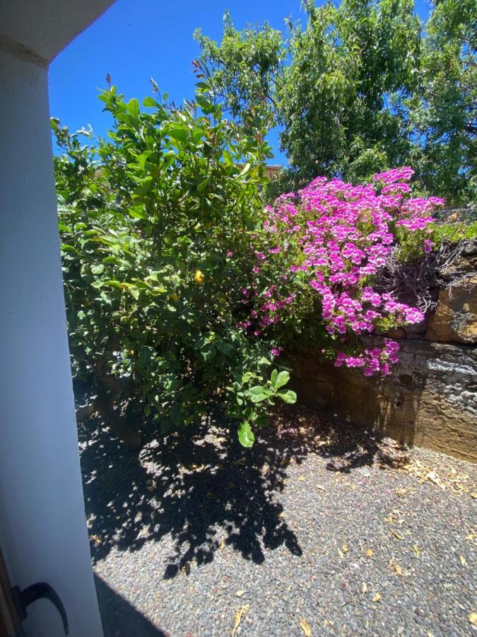 Vivienda Vacacional Casa Pancho Taibique المظهر الخارجي الصورة